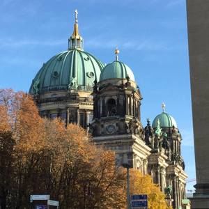 Meet your Posher, Ellen